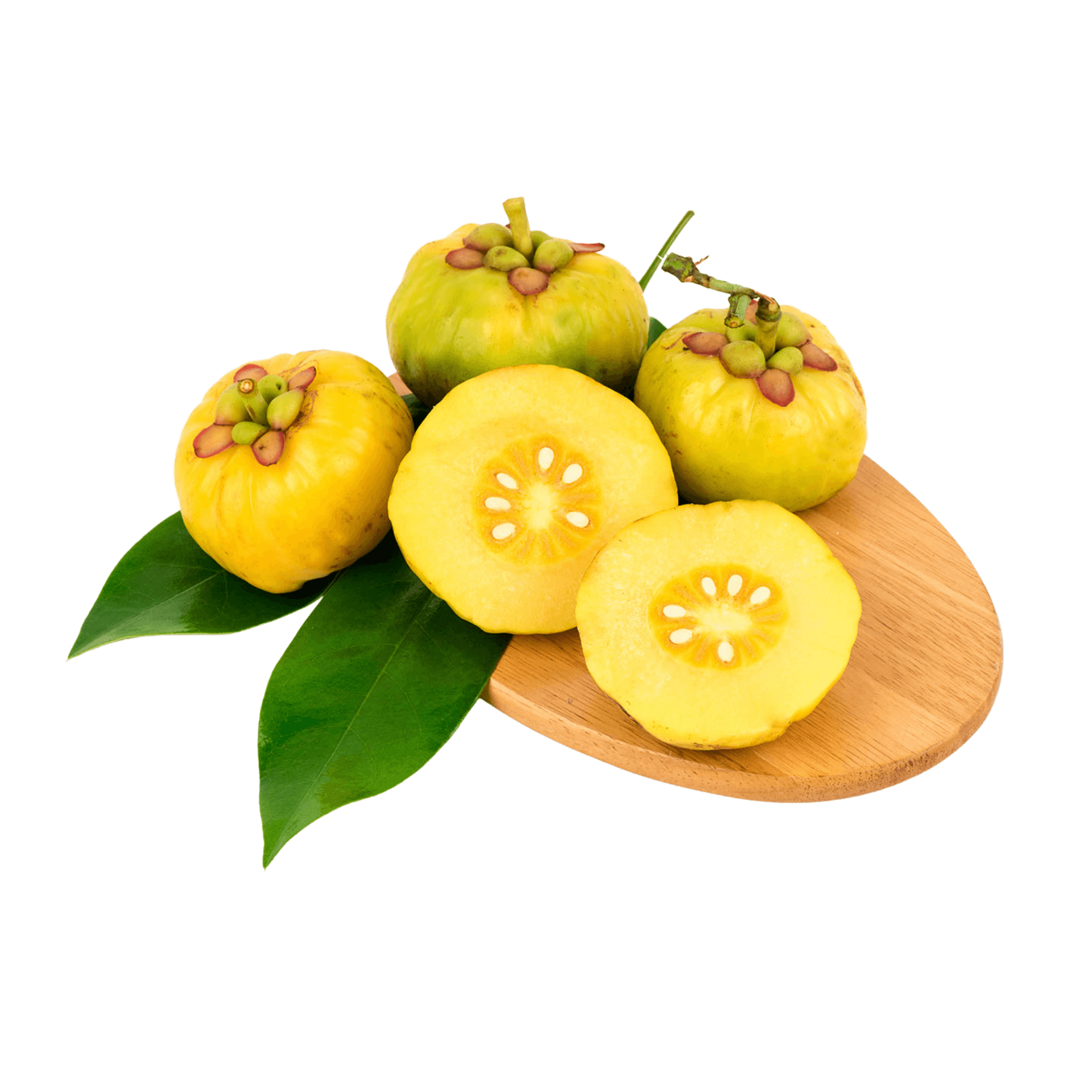 Garcinia Cambogia